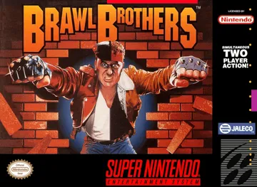 Brawl Brothers (USA) box cover front